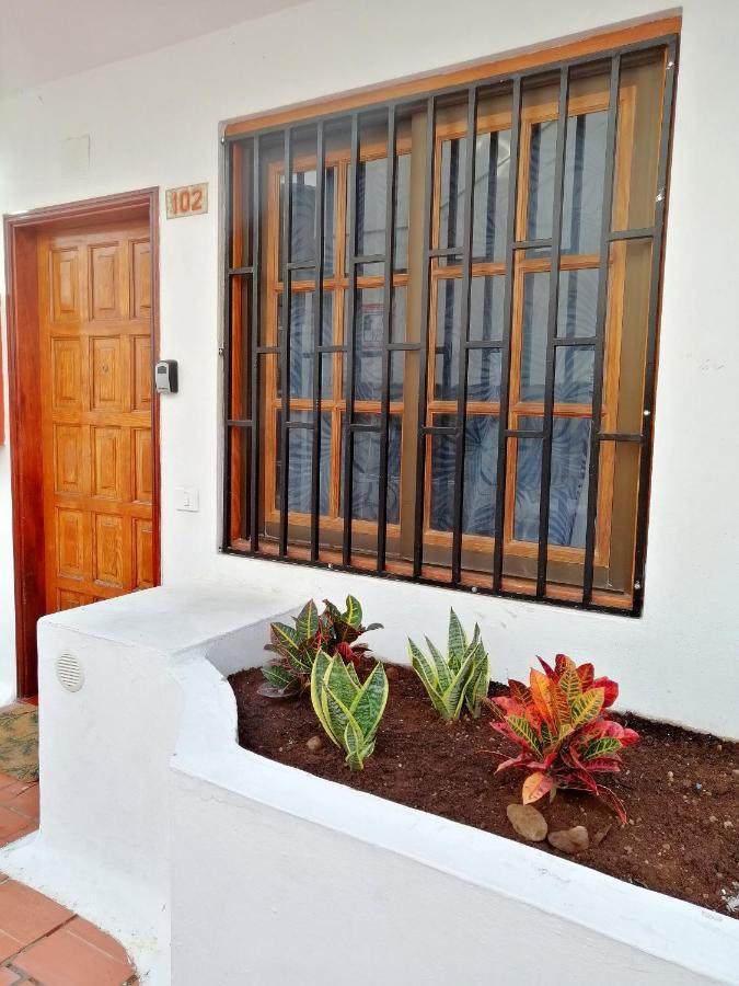 Aguamarina Apartment - Los Diamantes 2 Los Cristianos  Dış mekan fotoğraf